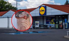 GIS ostrzega. Groźna bakteria w popularnym produkcie