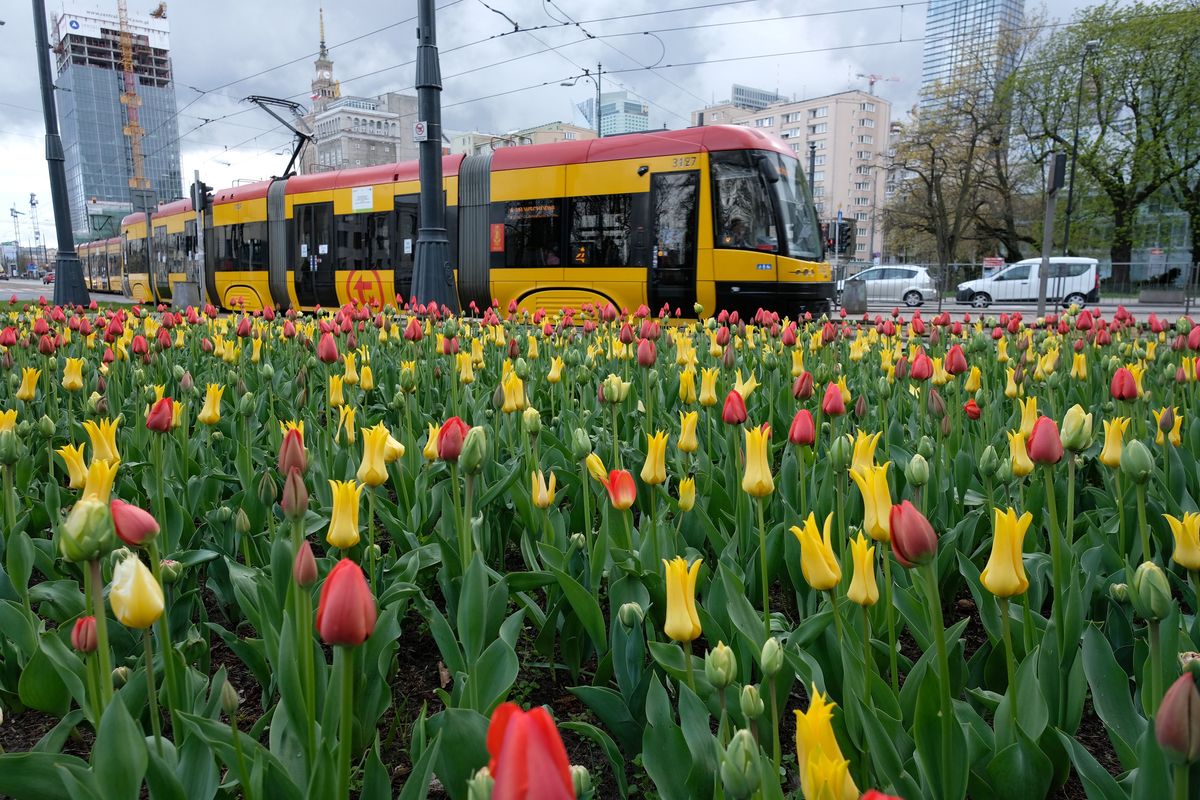 Warszawa. W weekend będą prowadzone prace na torach na Żoliborzu [zdj. ilustracyjne]