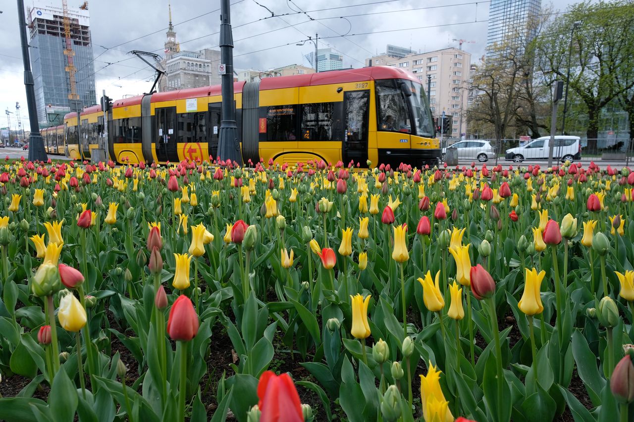 Warszawa. W weekend będą prowadzone prace na torach na Żoliborzu [zdj. ilustracyjne]