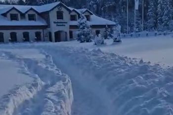 Pokazali drogę do pracy. "Jak za dawnych lat"