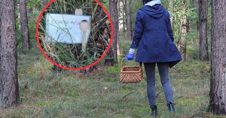 "Rezerwacja". Kartki w lasach. Leśnik tłumaczy, czy tak można