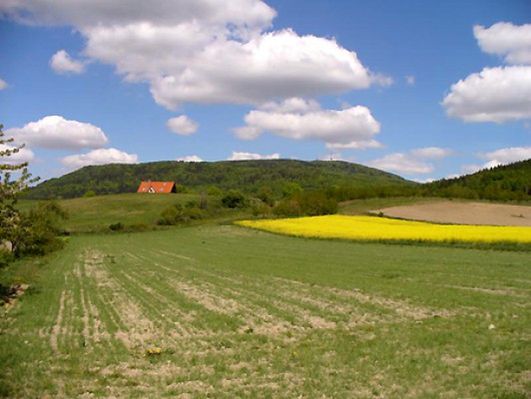 Obraz