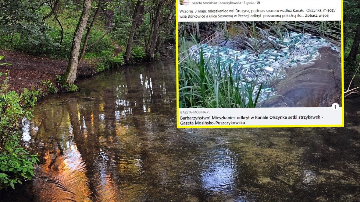 Spacerowicz odkrył setki strzykawek w kanale 