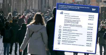 Górnik, informatyk czy lekarz? Oto najlepiej płatne zawody
