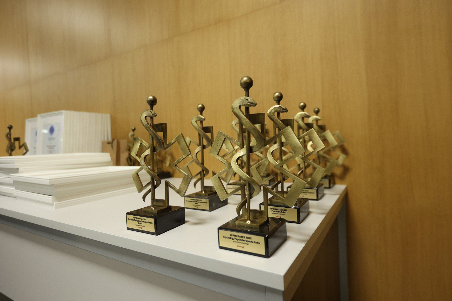 Zostało rozdane wiele nagród.