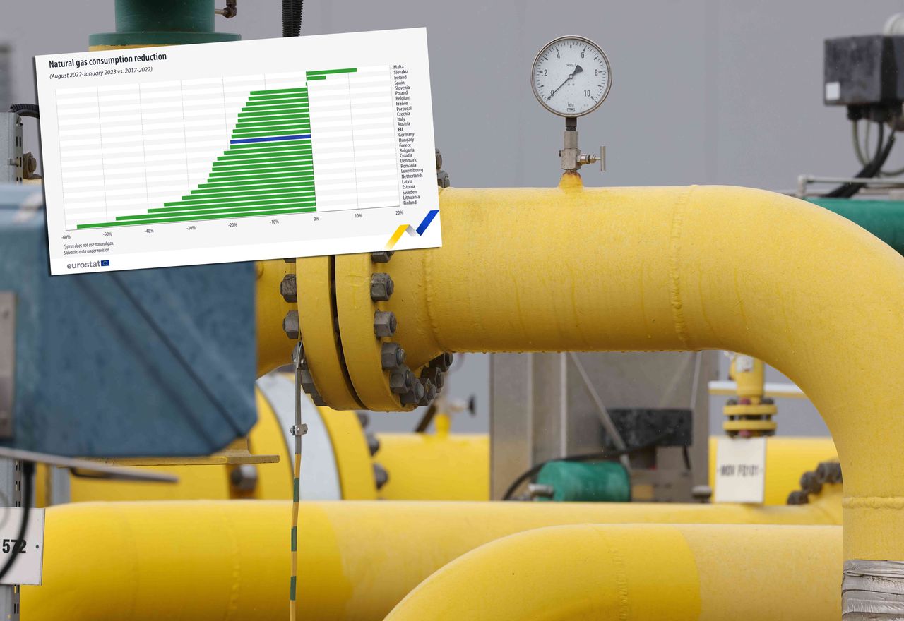 Oto jak po inwazji Rosji na Ukrainę spadło zużycie gazu w Unii Europejskiej. Polska na dole stawki