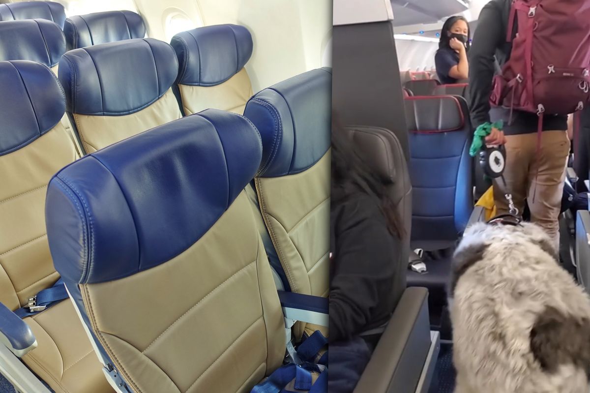 Wielki pies wywołał poruszenie na pokładzie samolotu 