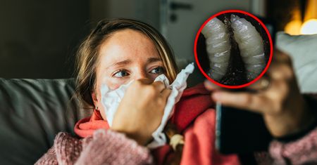 Kobieta "wykichała" larwy much. Rzadki przypadek opisany przez CDC