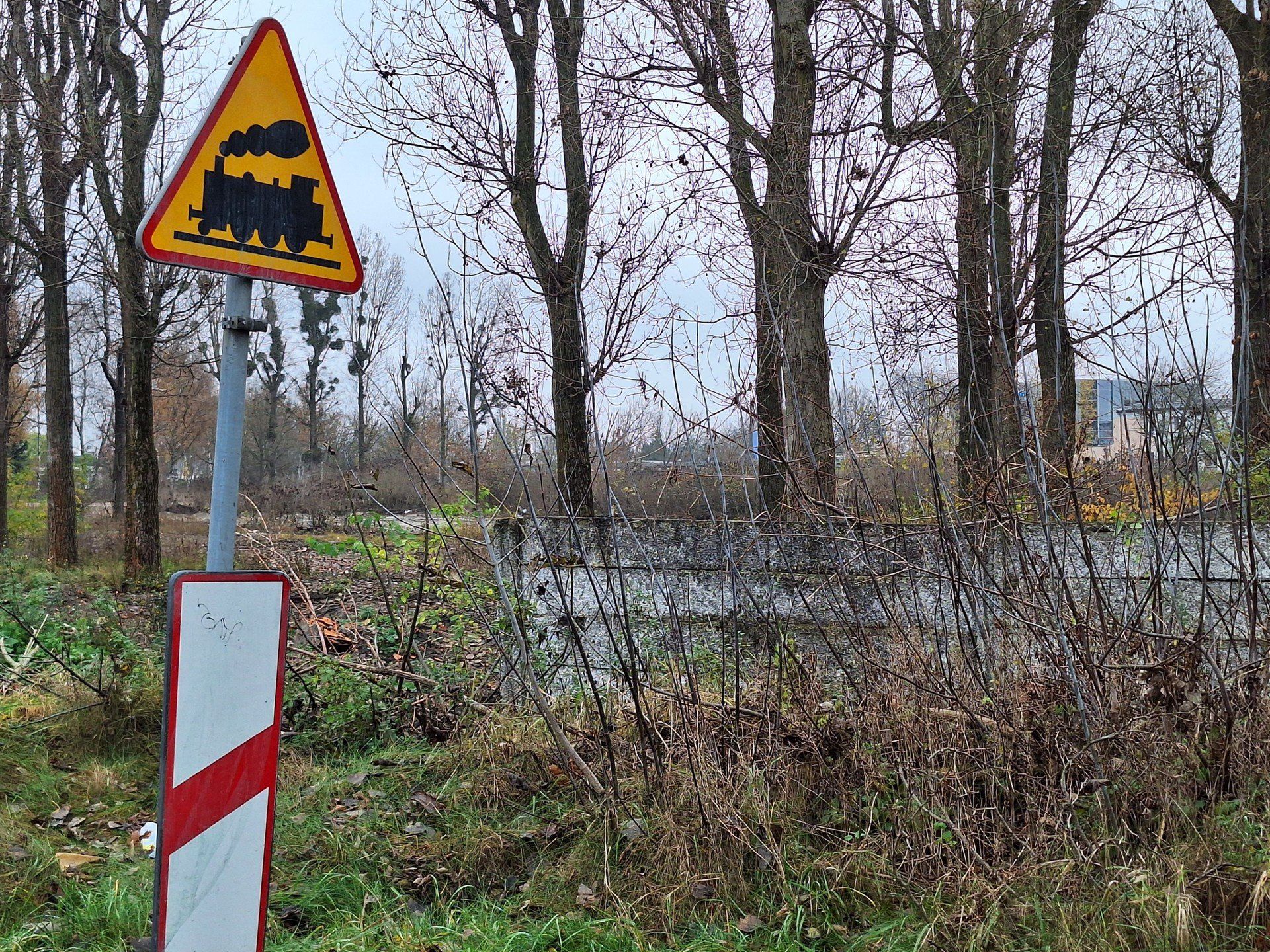 Teren po jednostce Armii Radzieckiej w Toruniu przeznaczony pod osiedle mieszkaniowe