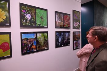 Systemowe zmiany w kulturze: Artyści nie będą już wystawiać za darmo