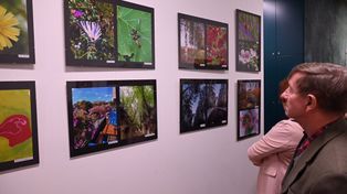 Systemowe zmiany w kulturze: Artyści nie będą już wystawiać za darmo