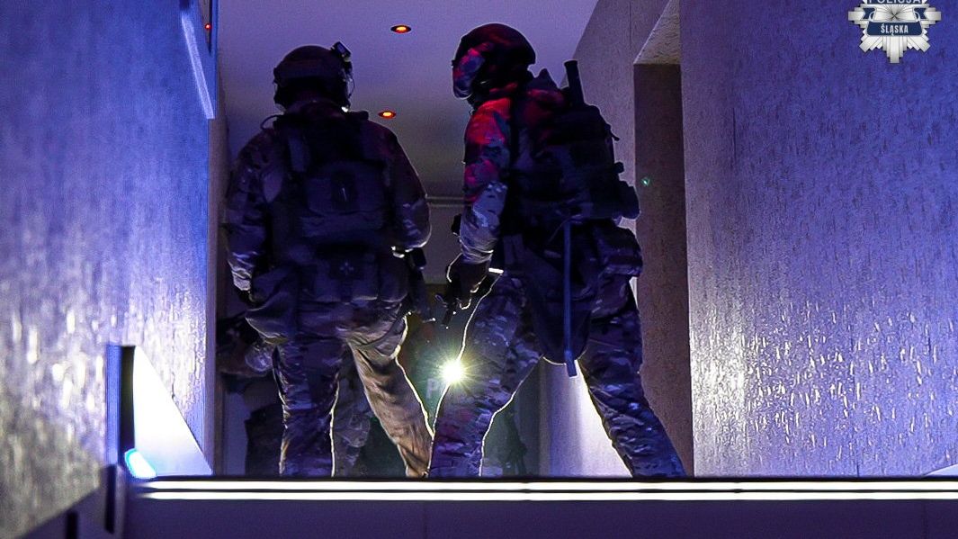 policja