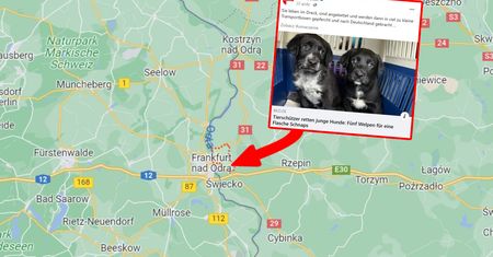 Źle się dzieje po polskiej stronie. Niemcy piszą o Słubicach. Masowe zjawisko