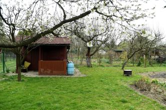 Wolne działki w ROD wciąż czekają. Poza miastem wciąż można mieć ogródek za ułamek ceny