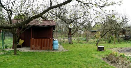 Wolne działki w ROD wciąż czekają. Poza miastem wciąż można mieć ogródek za ułamek ceny