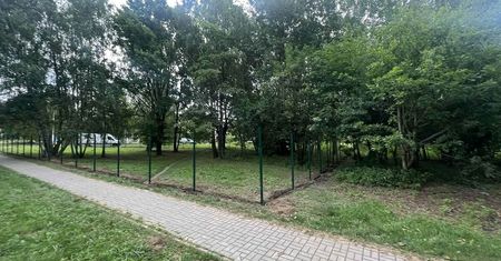 Spór o wybieg dla psów. Mieszkańcy nie chcą „betonu”