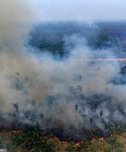 Dym pokrył połowę kontynentu. Naukowcy biją na alarm