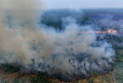 Dym pokrył połowę kontynentu. Naukowcy biją na alarm