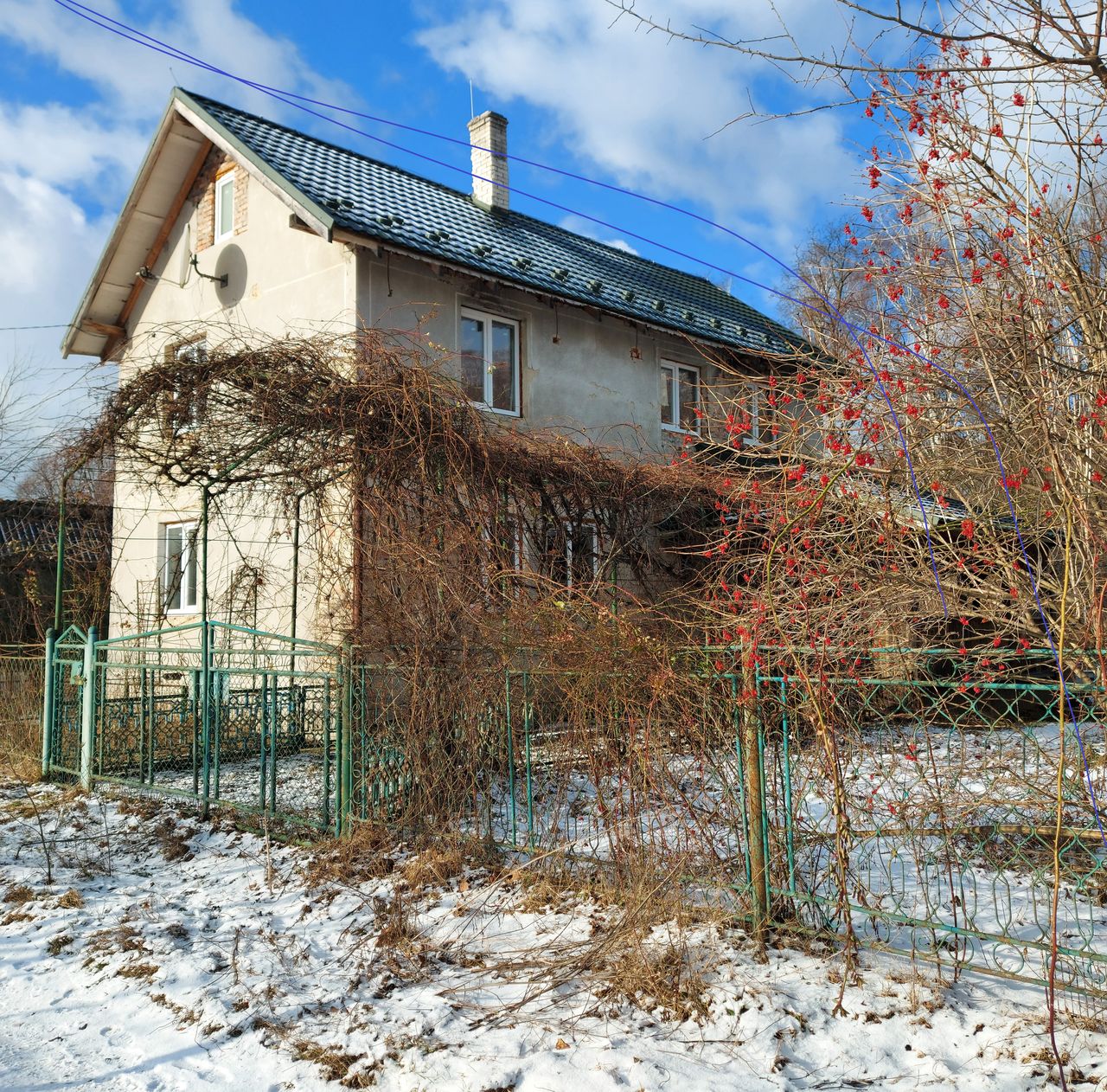 Wymarzony dom państwa Nesterenko 