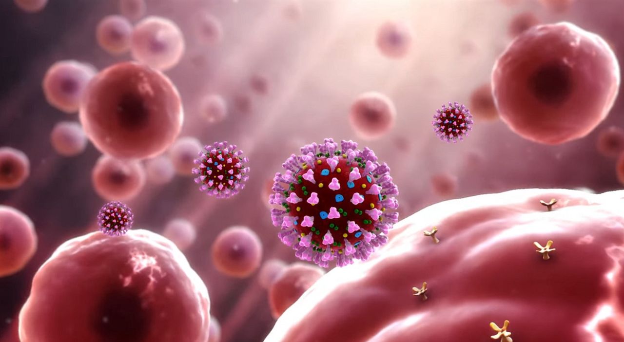 Skuteczna szczepionka na koronawirusa? Są pierwsze pozytywne wyniki