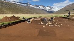 Pierwsi Wikingowie na Islandii