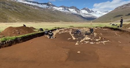 Pierwsi Wikingowie na Islandii