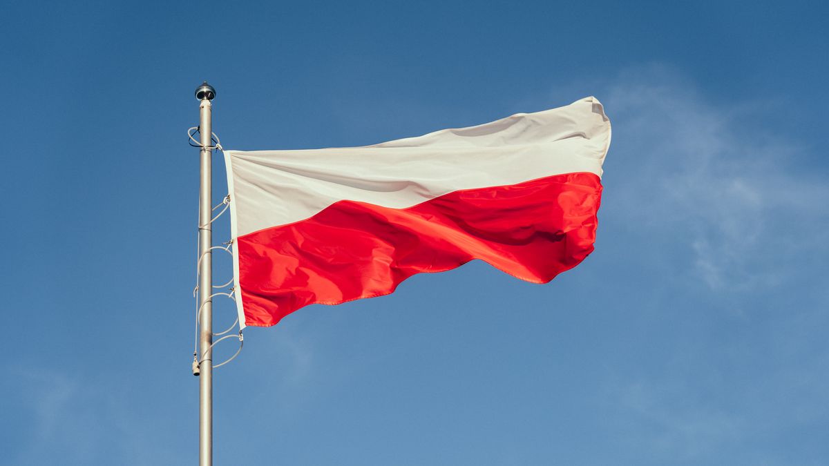 11 listopada. Gdzie można dostać kotyliony?