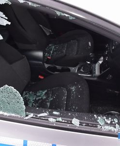 Ścinawa. Policyjny pies bez problemu znalazł wandala. 23-latek zniszczył radiowozy