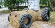Moskorzewo: Dożynki Powiatu Włoszczowskiego 2025. Uroczysty korowód, piękne wieńce i wspólna zabawa z artystą Czadoman