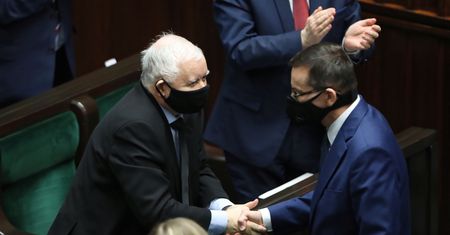 Najnowszy sondaż. PiS na czele. Kto jeszcze na podium?