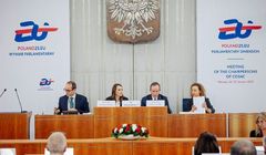 Polska prezydencja z dubbingiem. Zrobi go AI