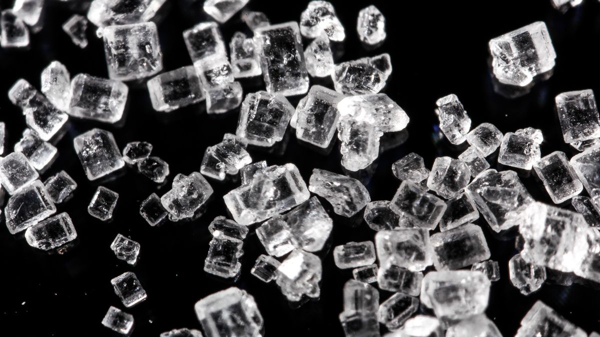 Mitakon 20mm F2 4.5x Super Macro - zanurz się w świecie makro 1