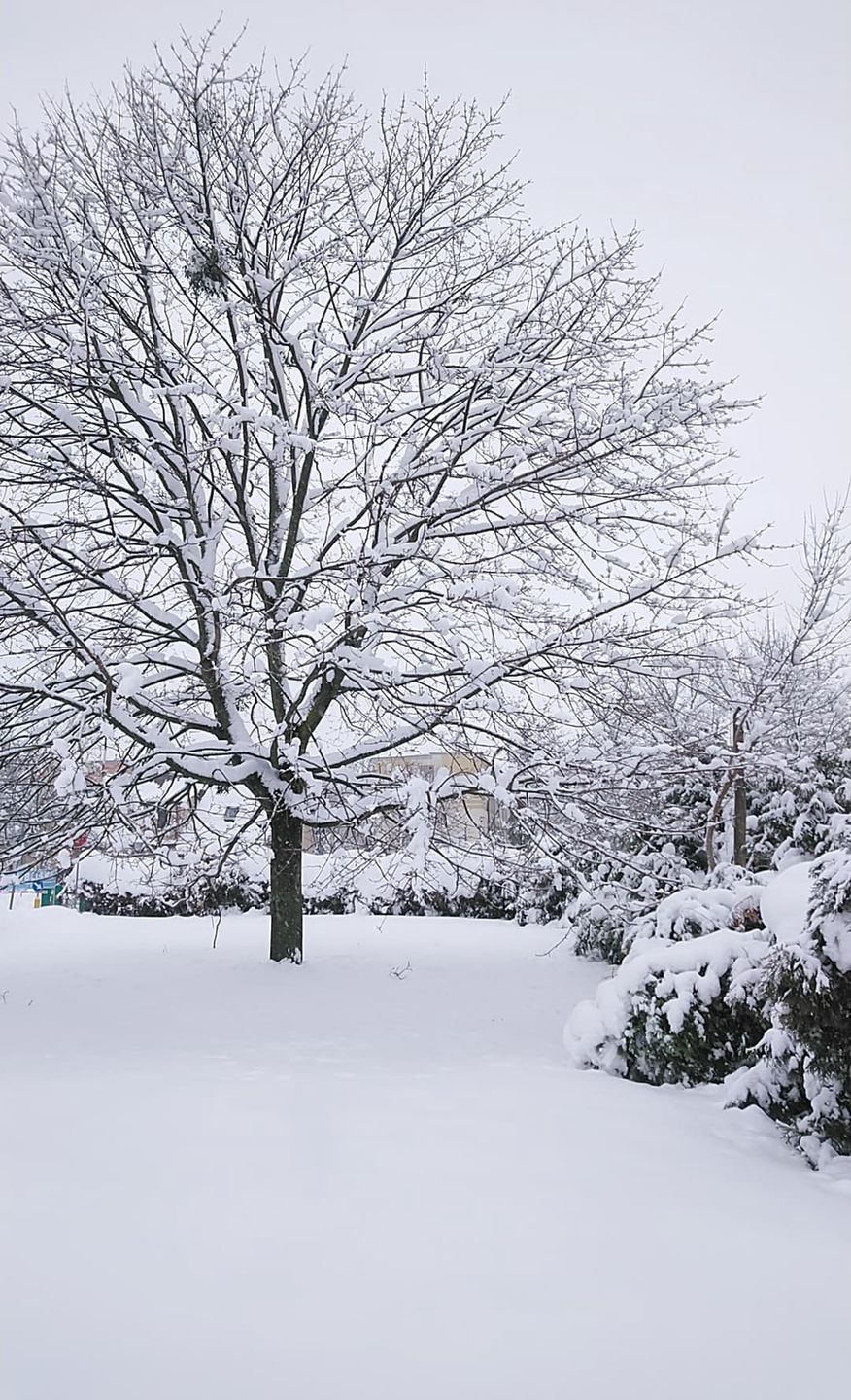 Opady śniegu na Podlasiu