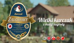 Sielskie życie kur reklamuje Kurczaka Zagrodowego (wideo)