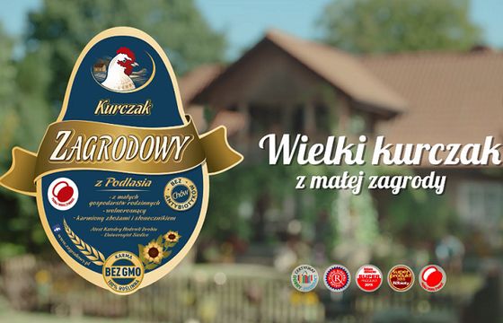 Sielskie życie kur reklamuje Kurczaka Zagrodowego (wideo)