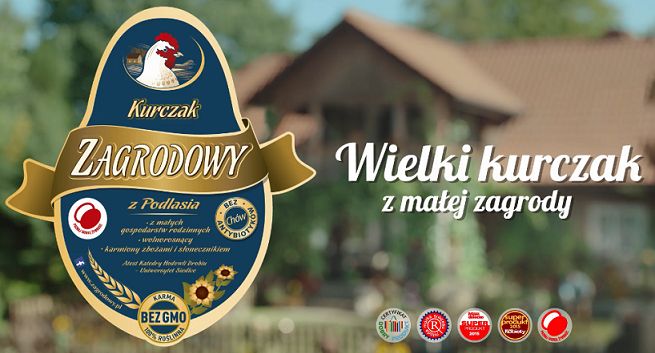 Sielskie życie kur reklamuje Kurczaka Zagrodowego (wideo)