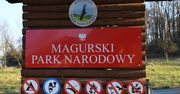 Cmentarzysko zwierząt przy parku narodowym. Policja bada sprawę