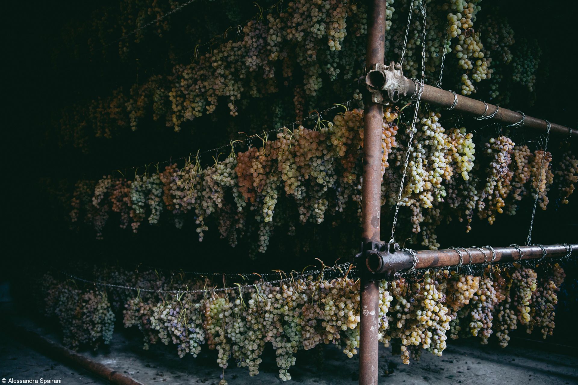 Najsmaczniejsze zdjęcia kulinarne 2019 roku. Zobacz, wyniki konkursu 16