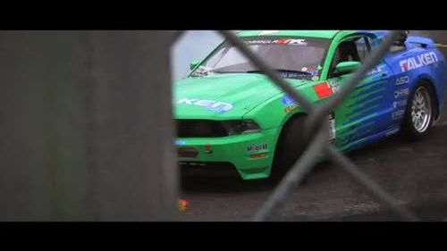 FalkenHunting2009