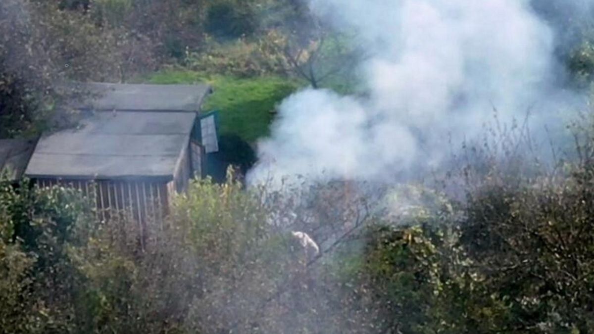 Straż miejska przyłapała działkowiczów