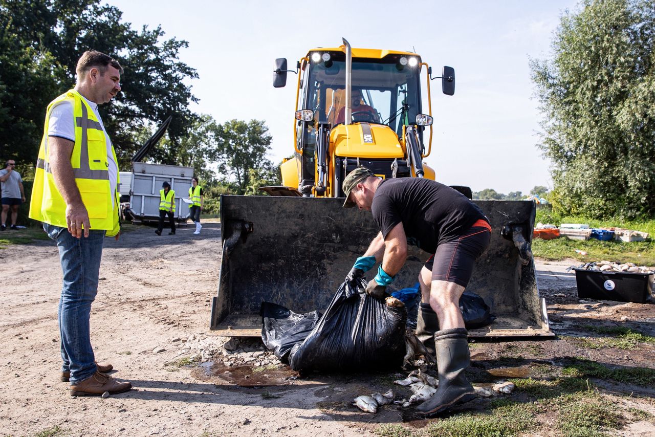 Katastrofa na Odrze. Winne mogą być toksyczne algi