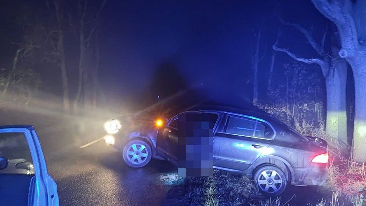 Kierowca wylądował w rowie