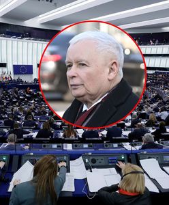 Tusk wbił szpilę po głosowaniu w PE. Jest reakcja Kaczyńskiego