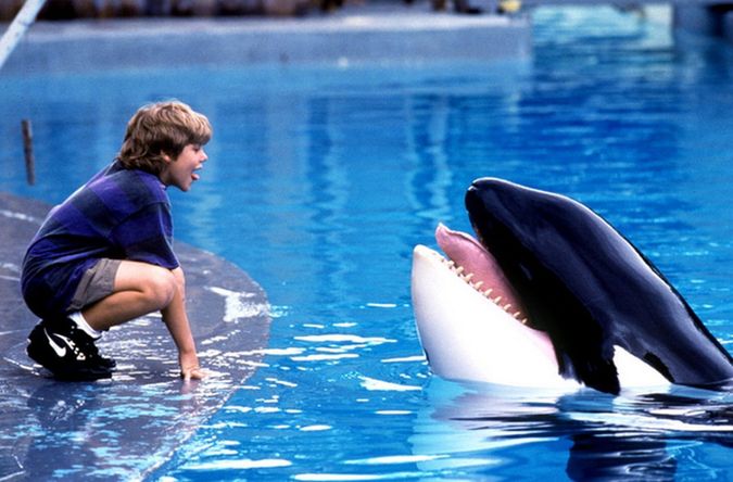 Film pt. &quot;Uwolnić orkę&quot; był hitem 