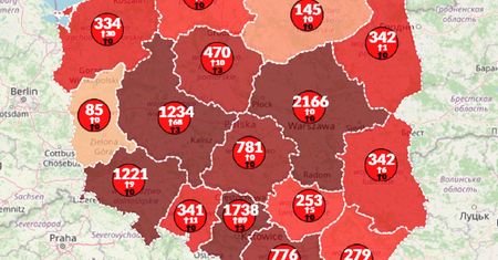 Koronawirus w Polsce. Ponad 10 750 zarażonych. Na świecie już 2 710 000 [Mapa 24.04.20]