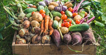 Dieta oczyszczająca - jadłospis na 14,7,5 dni. Dieta zegarowa i amerykańska
