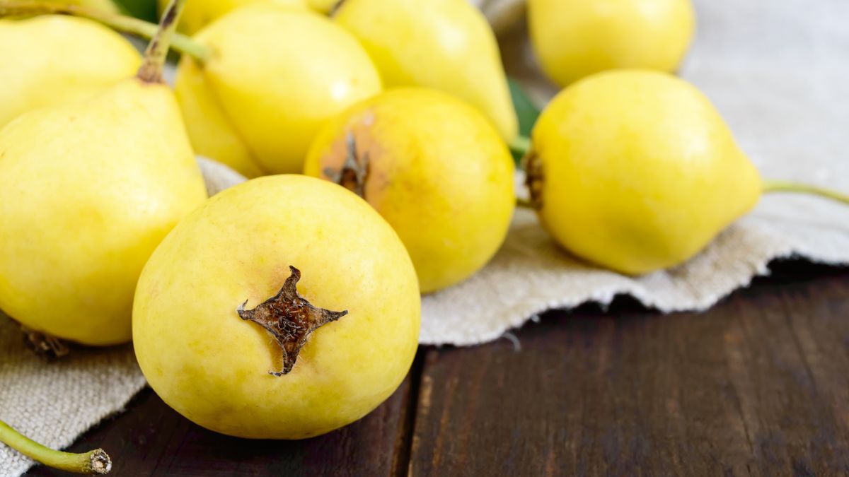 Krzyżówka z wiedzy ogólnej