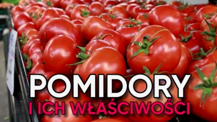 Pomidory mają wiele cudownych właściwości 