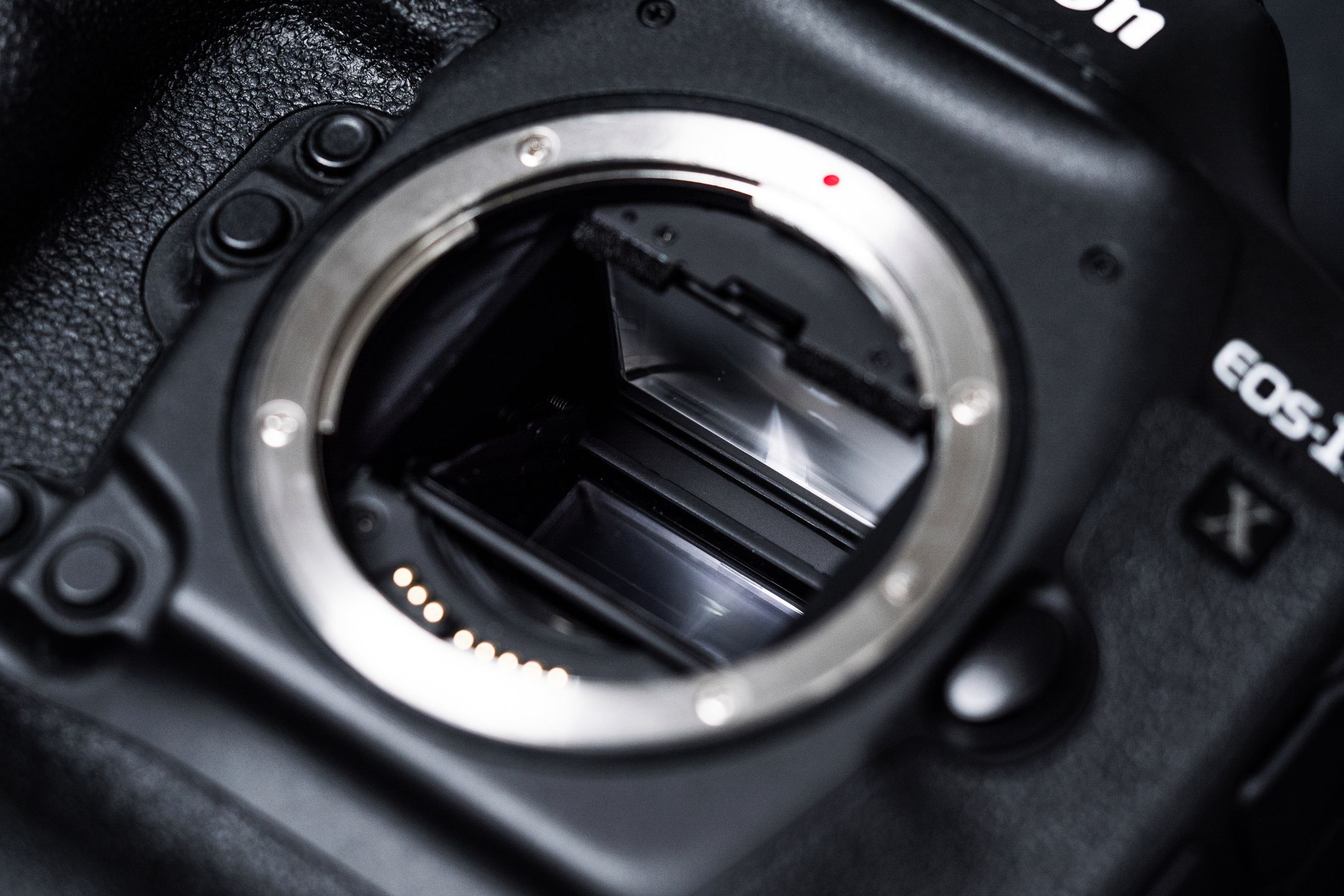 Canon EOS-1D X Mark II - test najszybszej lustrzanki na świecie 13
