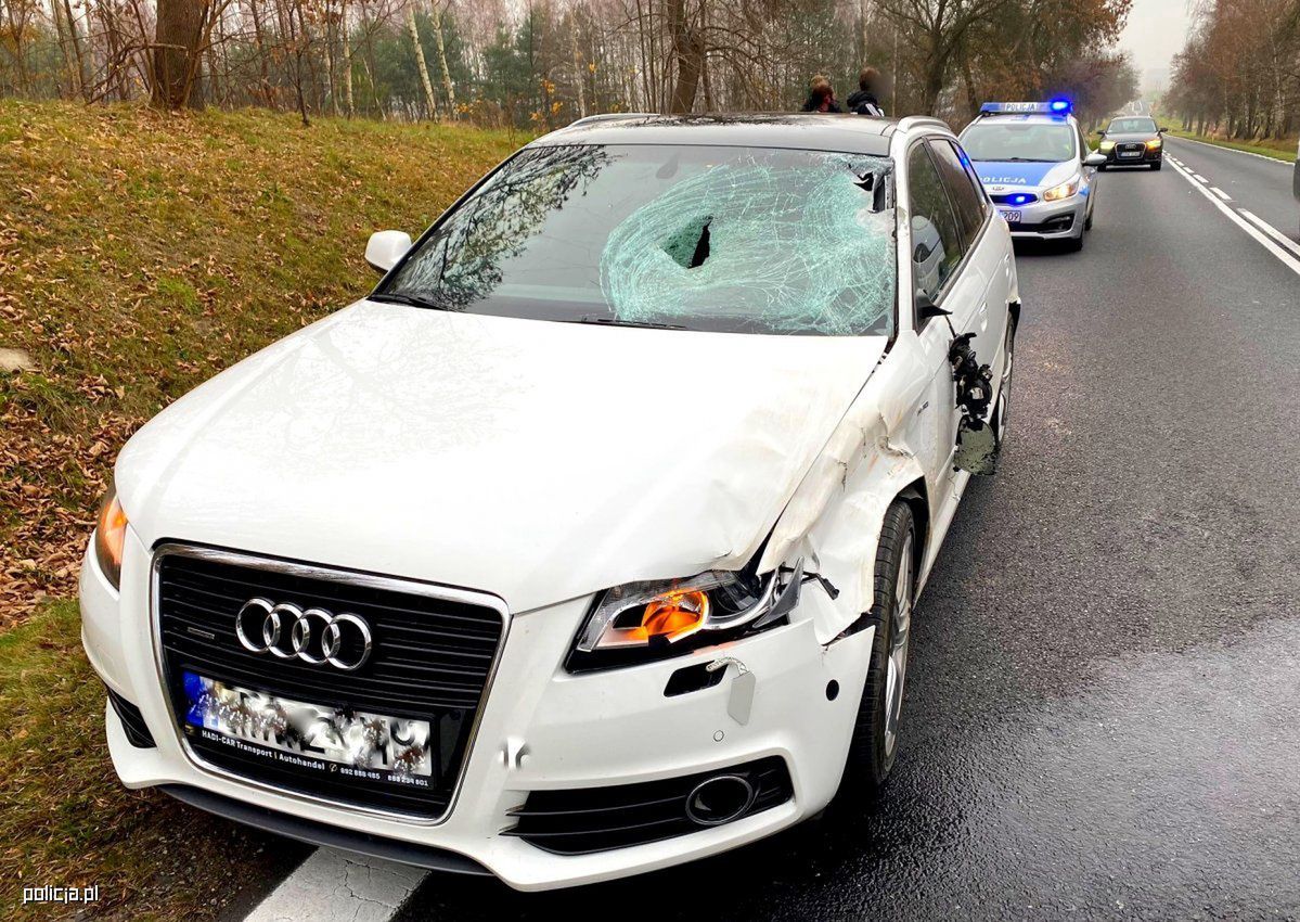 Policja ostrzega kierowców. Jesień jest wymagająca